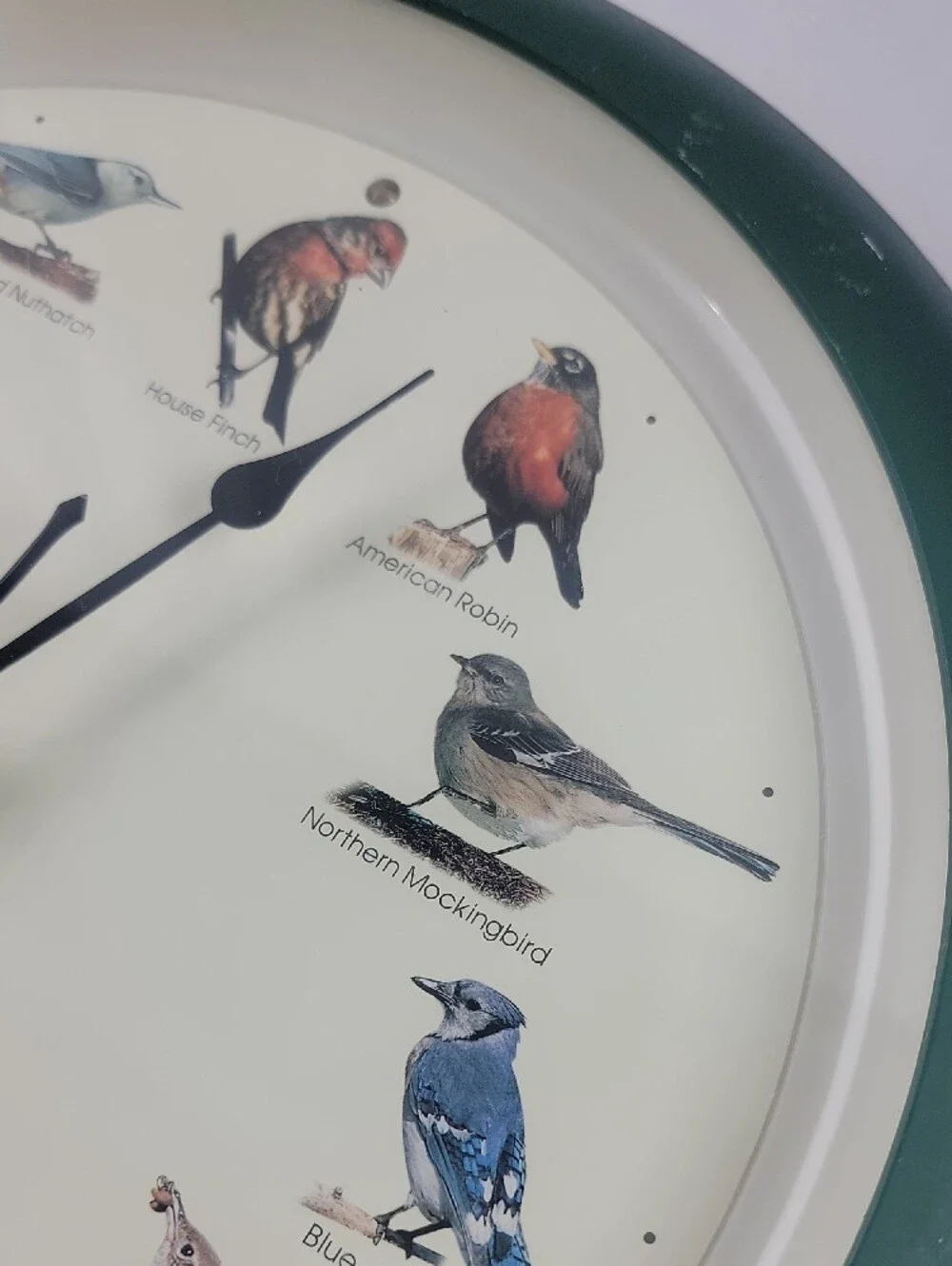 Audubon Bird Clock Singing Sounds National Society 13 1/4